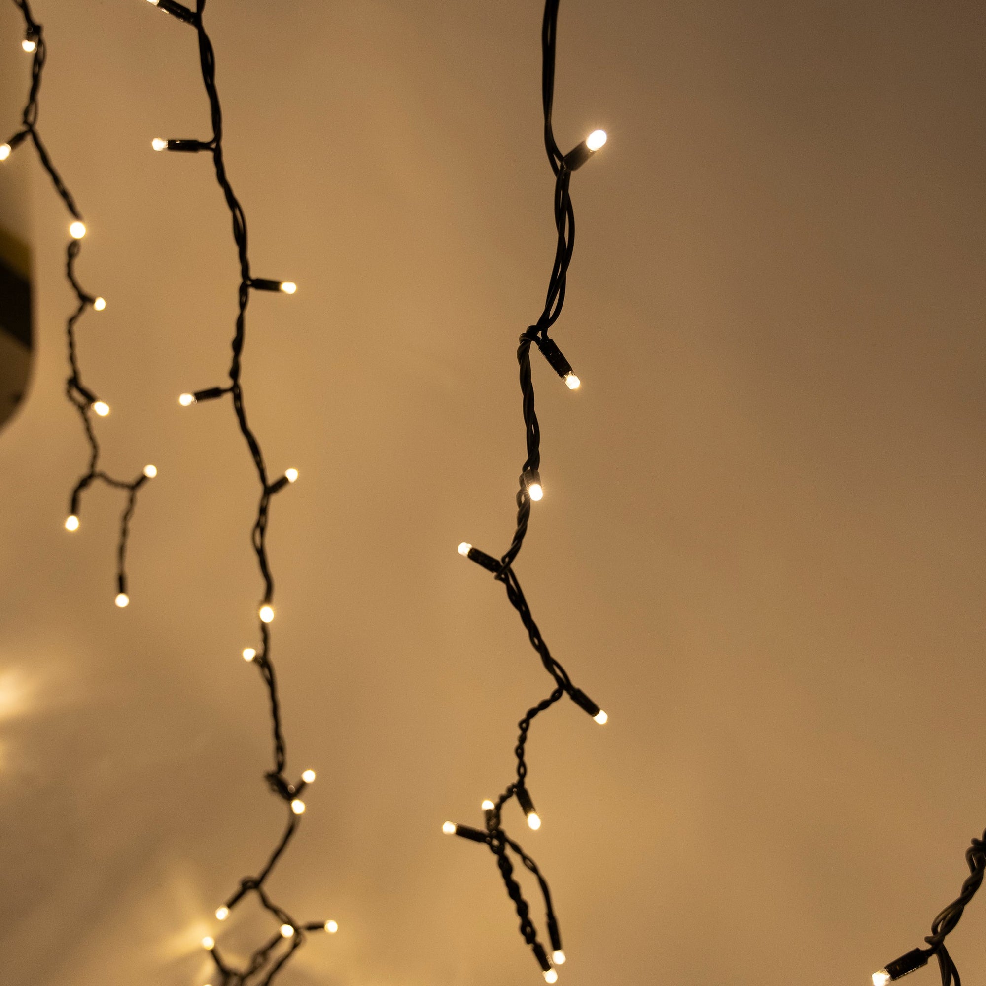 10m w 1m Drops Golden Warm White Icicle Fairy Lights - Self Pick-up - Event Fairy Light Hire Brisbane