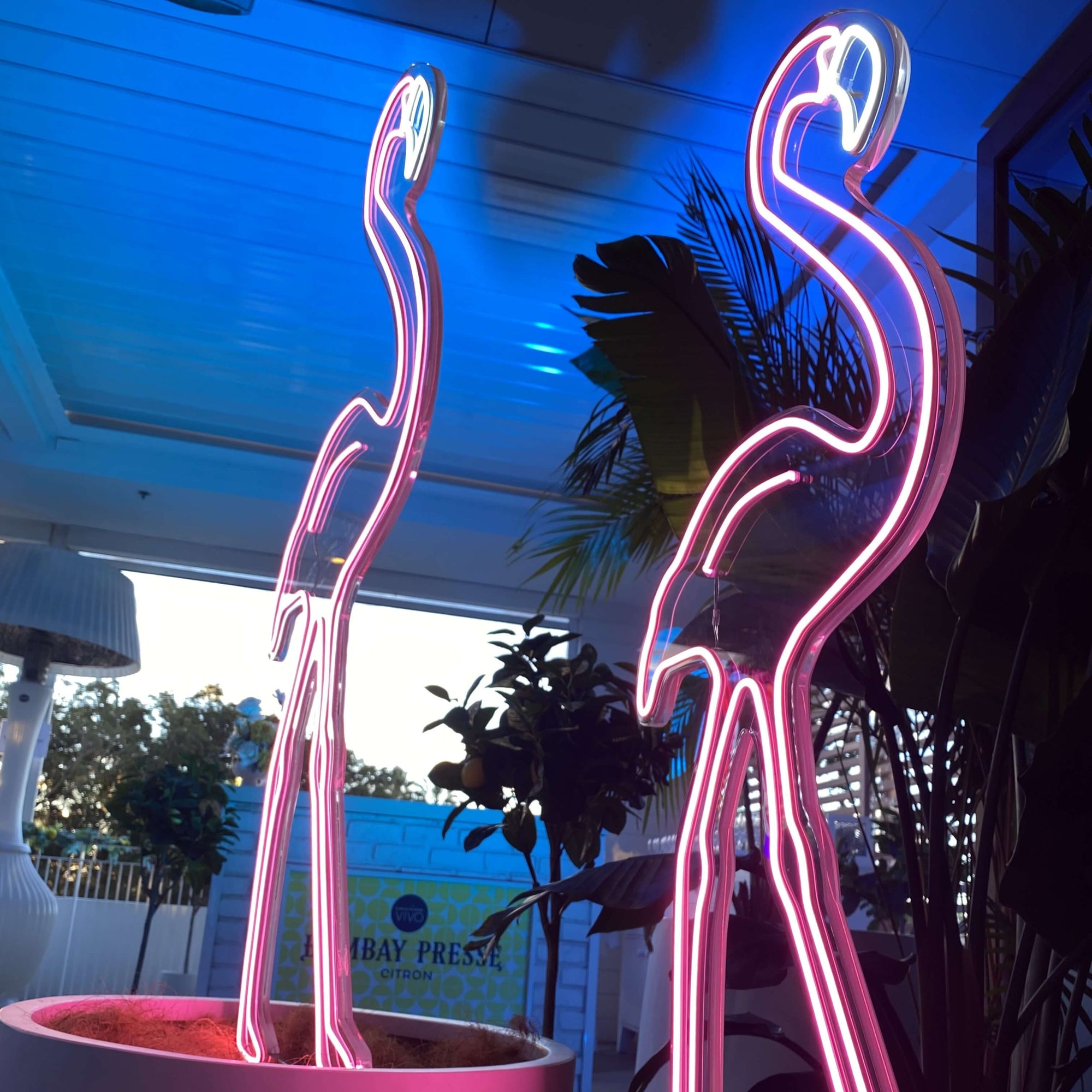 Pink flamboyance of Flamingos In Pot Neon (Set of 4)