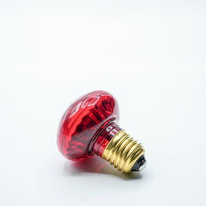 E27 Festoon Red Cabochon - Festoon Lighting Hire Brisbane