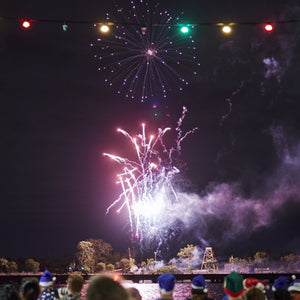 E27 Festoon Green Cabochon - Festoon Lighting Hire Brisbane