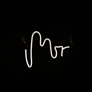 Mr & Mr Neon Sign - Wedding Neon Sign Hire Brisbane