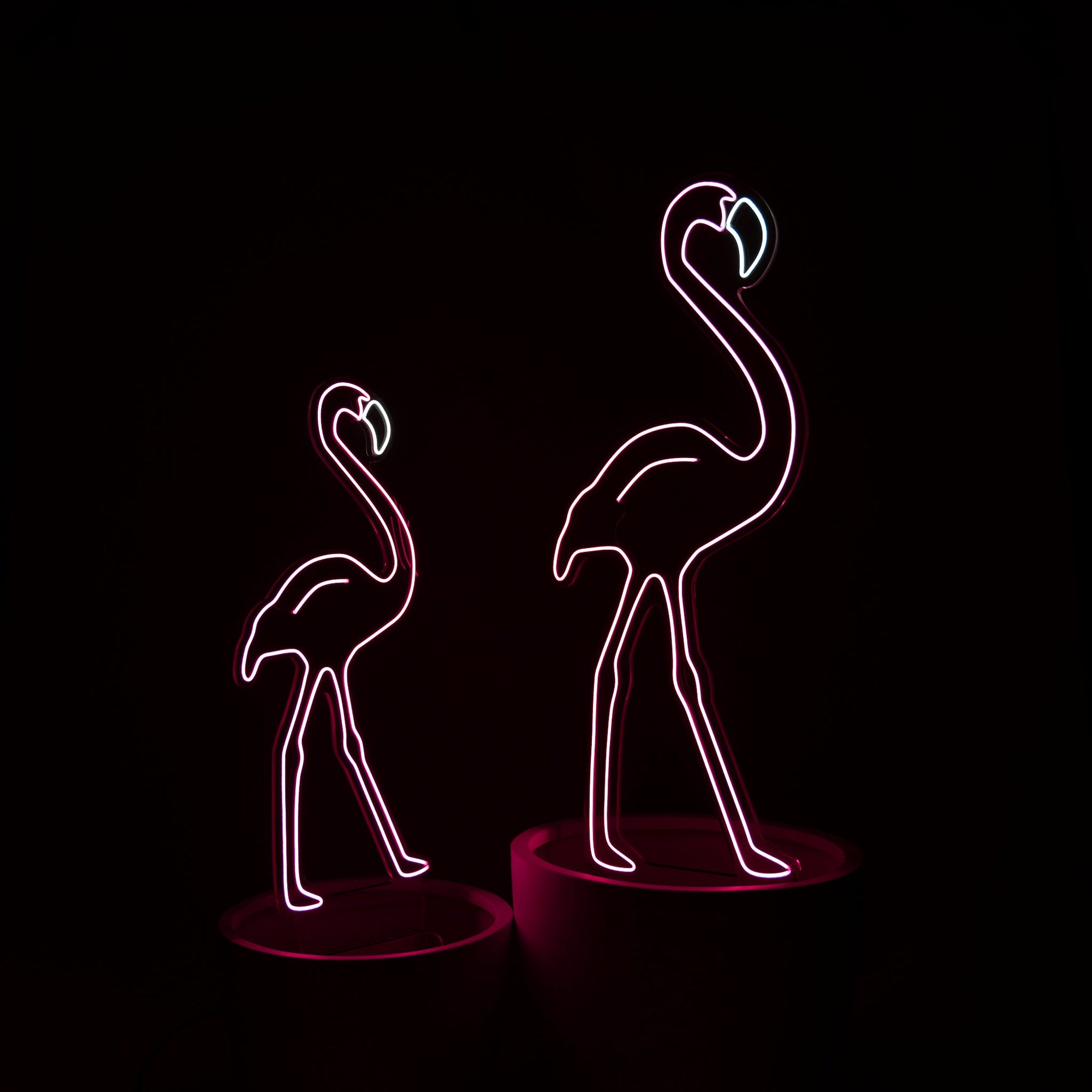 Pink flamboyance of Flamingos In Pot Neon (Set of 2) - Neon Sign Hire Brisbane