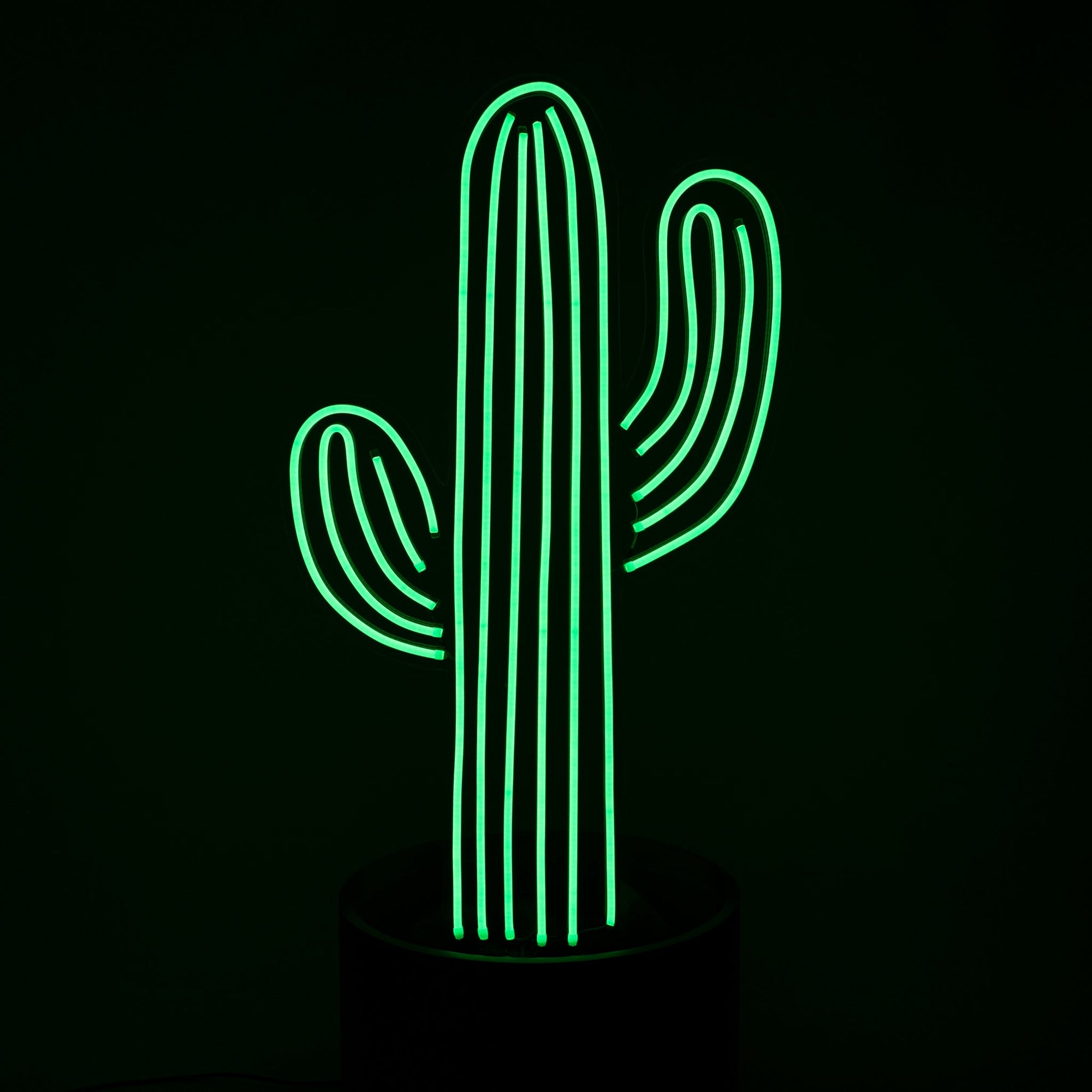 X-Large Green Cactus In Pot Neon - Neon Sign Hire Brisbane